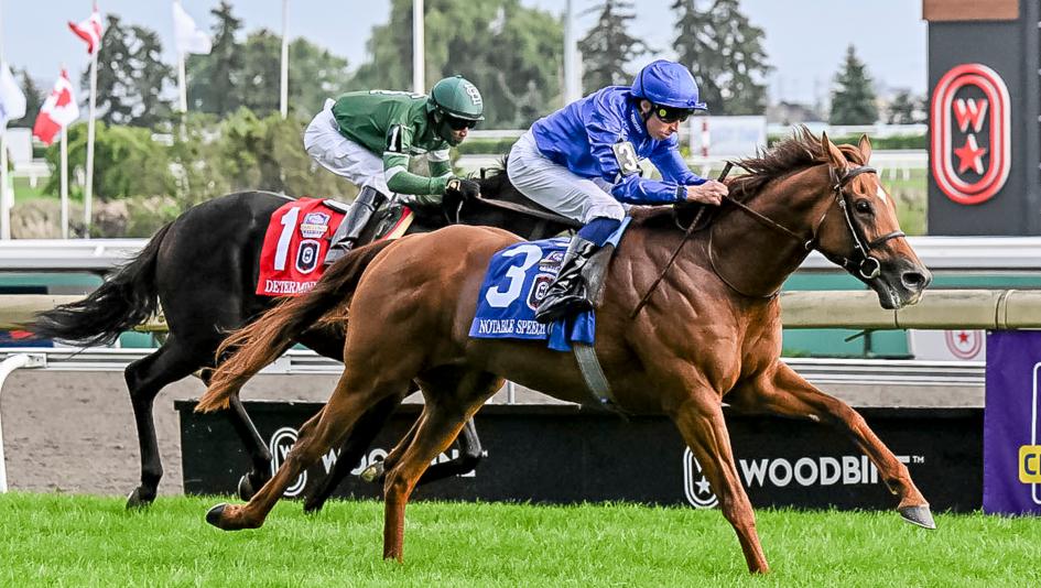 Notable Speech Wins Woodbine Mile, Gimme a Nother, Al Hudaiba, Voyager also Earn BC Berths
