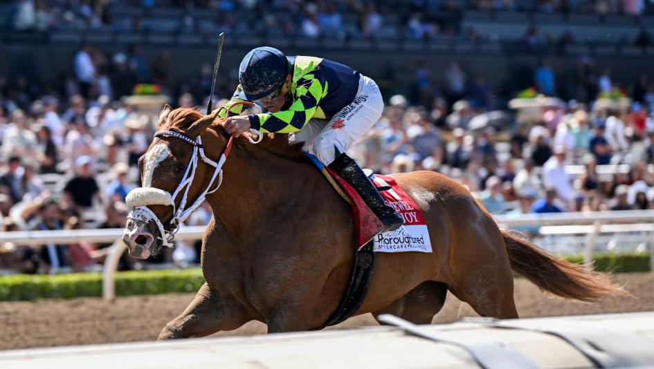 Santa Anita Betting Guide: Tips and Trends for Winning at ‘The Great Race Place’