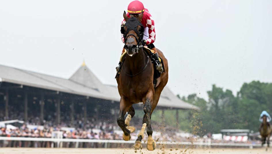 Nitrogen, Longines Breeders' Cup Distaff, Del Mar, America's Best Racing, horse racing, ABR 