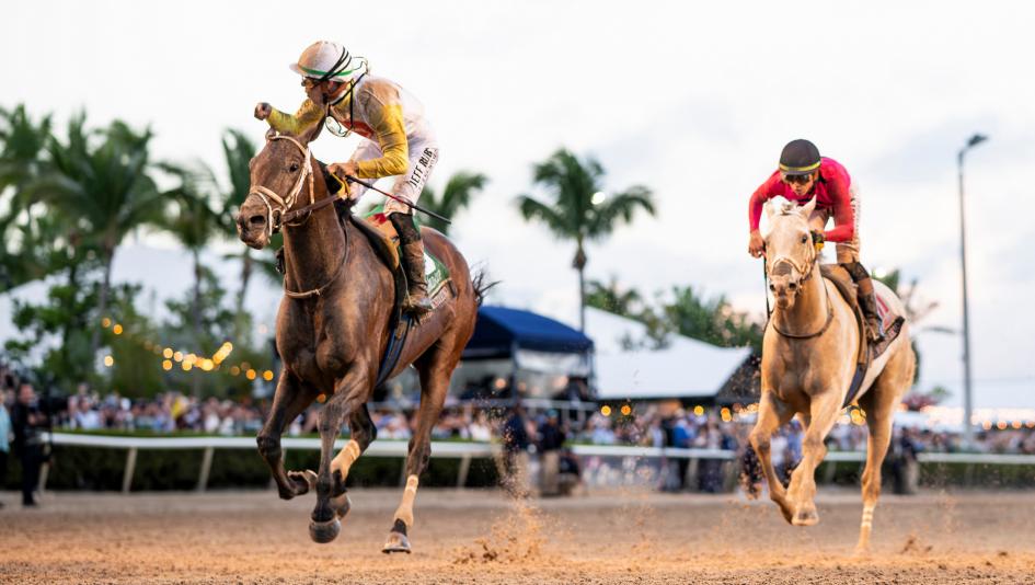 Pegasus World Cup Weekend Sparks Major Changes to Equibase Leaderboard