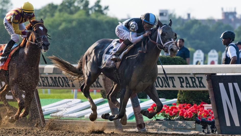 Tapwrit, Belmont Stakes, Triple Crown, Belmont Park, Saratoga Race Course, horse racing, America's Best Racing, ABR