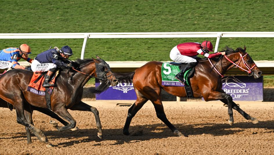 Forever Young, Breeders’ Cup Classic, Keeneland, horse racing, America's Best Racing, ABR