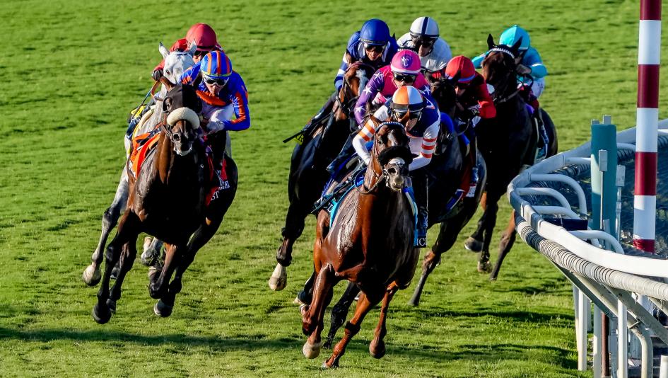 A Guide to Betting Santa Anita Park: Key Trends and Tips for the Autumn Meet