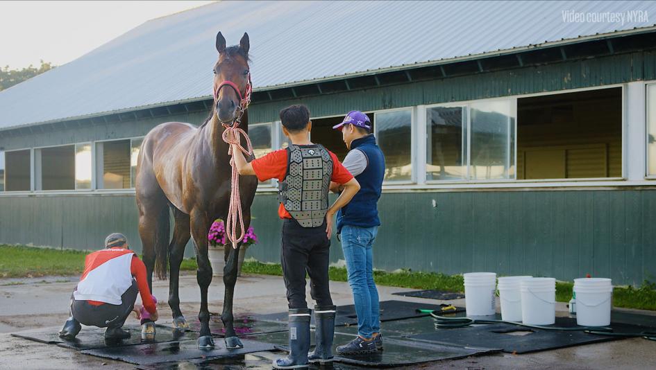 Trainer Yahagi on Forever Young, Belmont's Historic Reopening, and What Comes Next
