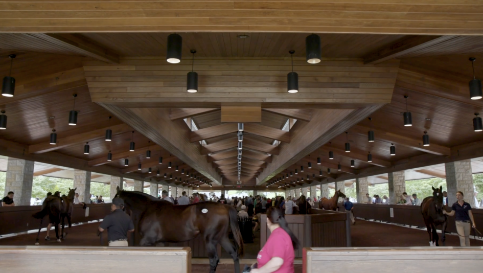 The Sport | America's Best Racing