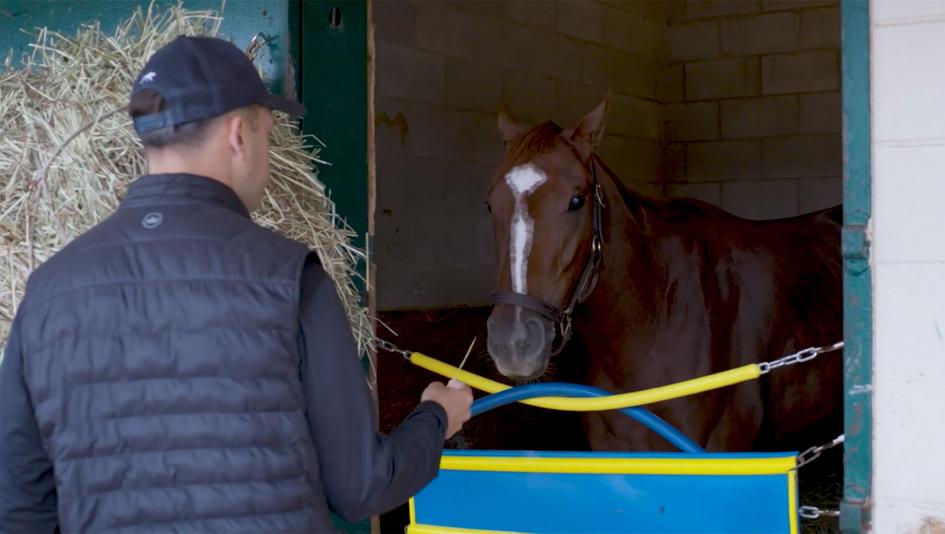 Trombetta Eyes First Breeders’ Cup Win With Talented 2-Year-Old Turf Star Ultimate Love