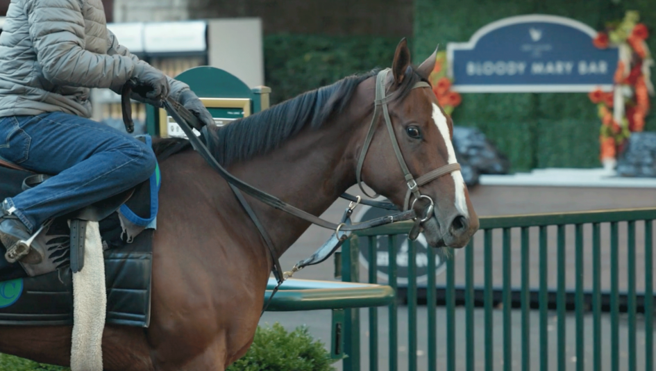 Breeders Cup Filly Percy's Bar Named After One of Racing's Favorite Places and People