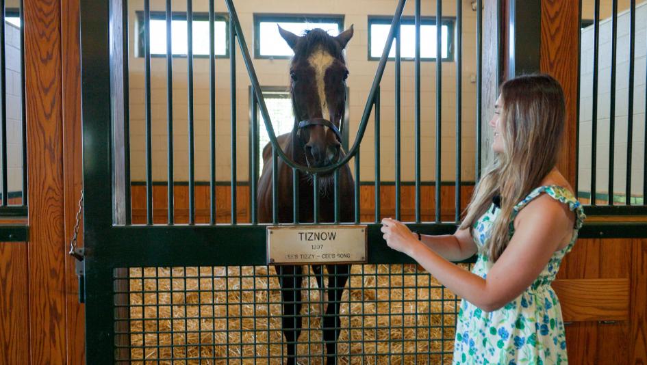 Catching Up with Two-Time Breeders' Cup Classic Champ Tiznow at WinStar Farm
