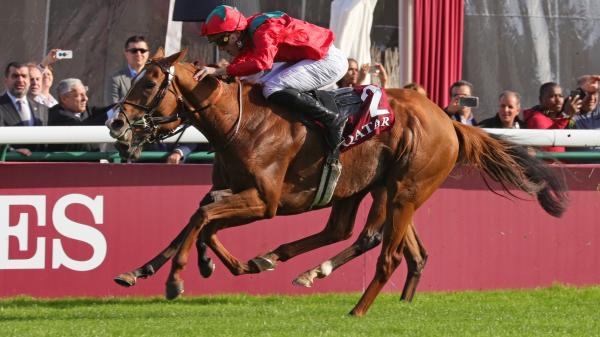 tumi alpha 3 compact