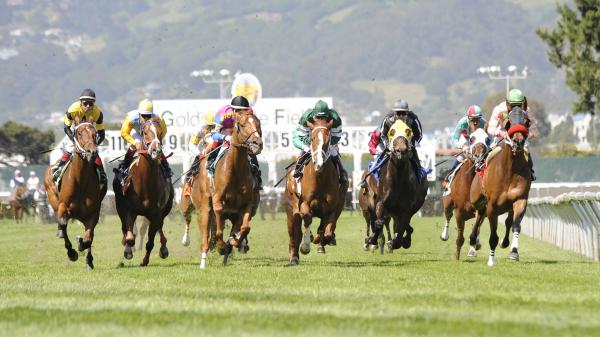 Keeper Ofthe Stars Can Beat the Boys in San Francisco Mile ...