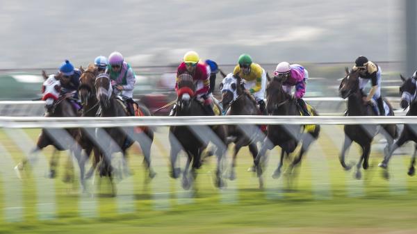 Best Bets Saturday Longshots At Spa Del Mar America S Best Racing