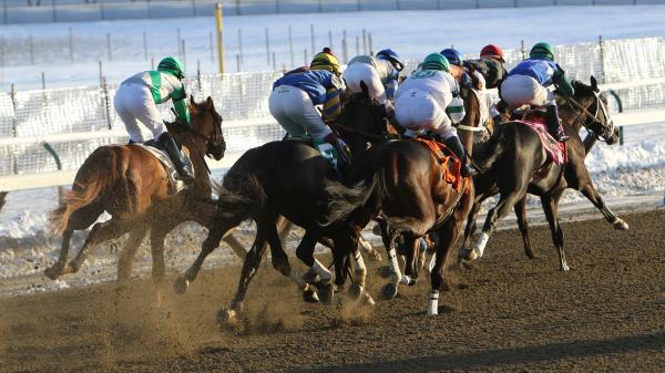 2024 Jerome Stakes at a Glance | America's Best Racing