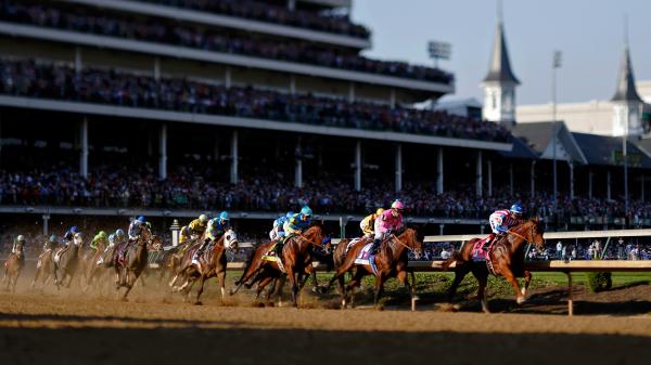 The 2023 Kentucky Derby Field at a Glance
