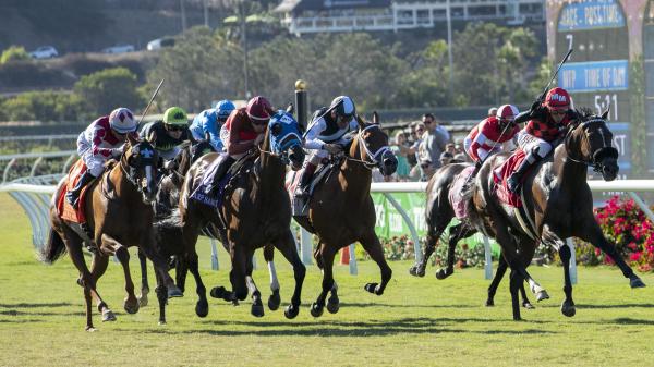 Piassek S Plays Looking For Improving Horses At Del Mar America S Best Racing