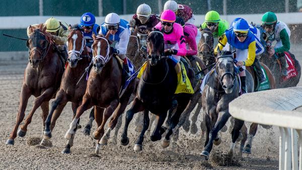 2025 Louisiana Derby Cheat Sheet | America's Best Racing