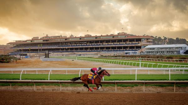 Longtime Racing Scribes Debate the 2024 Breeders’ Cup Classic | America ...