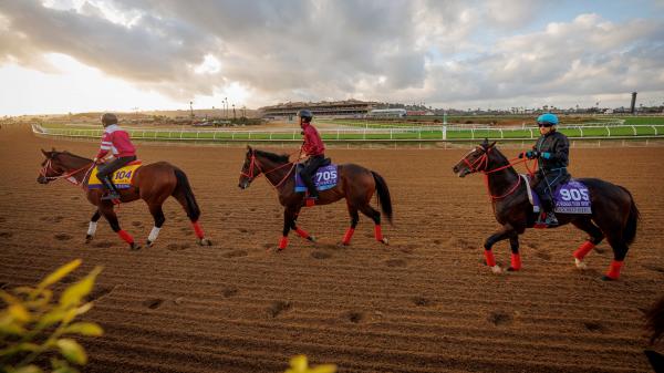 20241029_Evers_eclipsesportswi