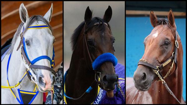 SLIDESHOW: Meet the Contenders for the 2026 Pegasus World Cup