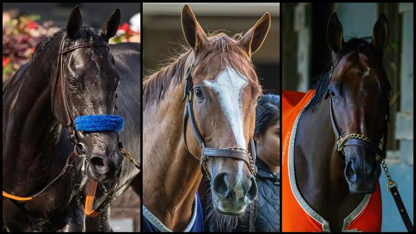 SLIDESHOW: Meet the Fillies and Mares in the 2026 Breeders’ Cup Distaff