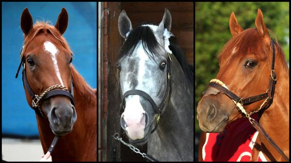 SLIDESHOW: Get to Know the 2026 Haskell Stakes Contenders