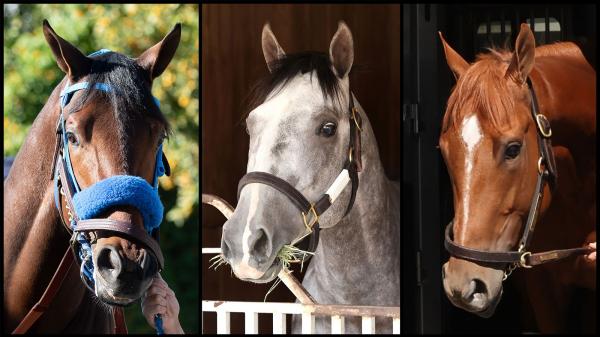 SLIDESHOW: Get to Know the 2026 Kentucky Derby Contenders