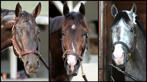 SLIDESHOW: Meet the 2026 Preakness Stakes Horses