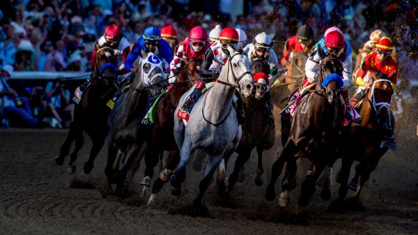 America's Best Horses for March 1 | America's Best Racing