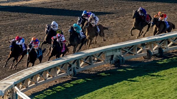 Byron King’s Derby Dozen for Jan. 24: Kickoff Edition on Road to Derby ...