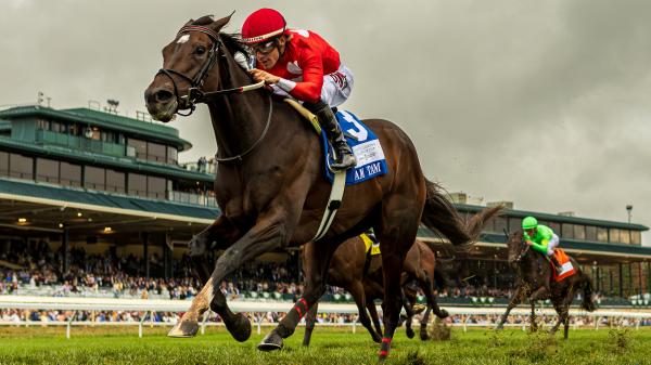 Tam Tam Coasts to Front-Running Score in Queen Elizabeth II Challenge ...