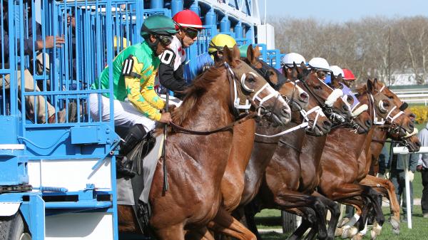 Noel&rsquo;s Weekend Winners: Great Betting Races at Aqueduct
