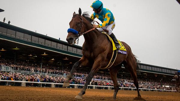 America's Best Thoroughbreds for Nov. 2 | America's Best Racing