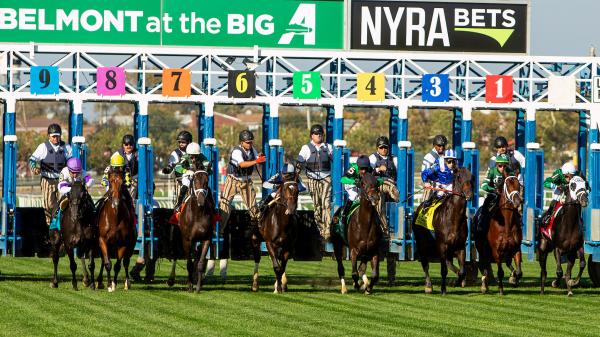 Backing a Quick-Rising Turf Prospect in 2025 Pilgrim Stakes