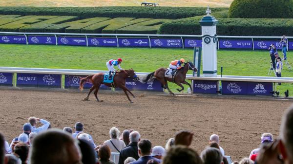 The place to Watch/Pay attention: Breeders’ Cup Week 2026