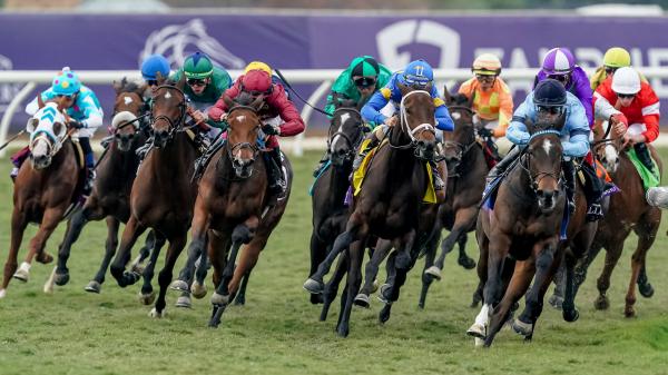 BC_juv_fillies_turf_DMR_eclips