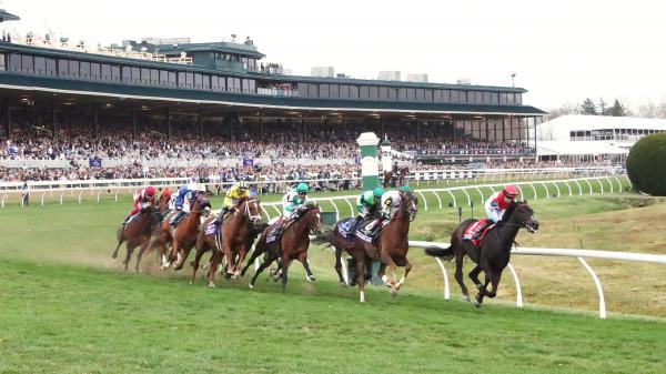 Eight Historic Tendencies and Tricks to Assist Wager the 2026 Breeders’ Cup Turf