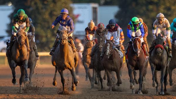 America’s Best Horses for Feb. 16 | America's Best Racing