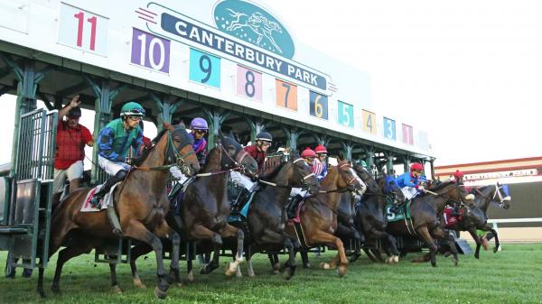Minnesota Racehorse Engagement Project, Canterbury Offer New Ownership Options for 2021 - Vimarsana News