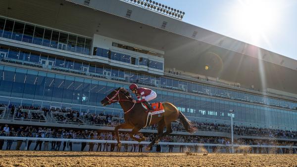 Forever Young Too Good for Opposition in Jockey Club Gold Cup | America ...