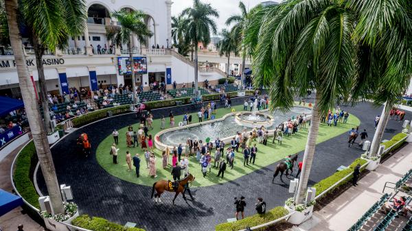 Noel’s Weekend Winners: Wide-Open Turf Stakes Saturday at Gulfstream - News Directory 3