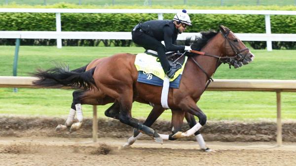 Betting A 10 1 Longshot In The 2021 Kentucky Derby America S Best Racing