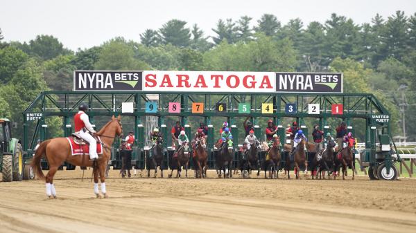 Ren Carothers’ Pedigree Play: Sizzling Sire Gun Runner's Second Crop ...