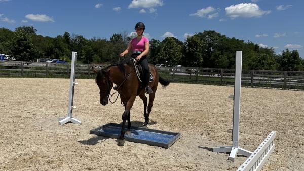Thoroughbred Makeover Diary: An Exciting and Nerve-Racking Time