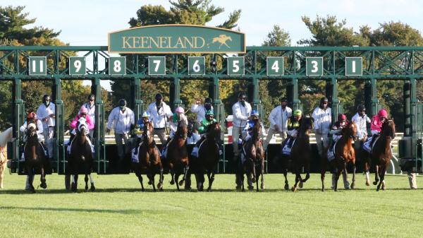 Making Money Betting Order of Australia in Keeneland Turf Mile - Vimarsana News