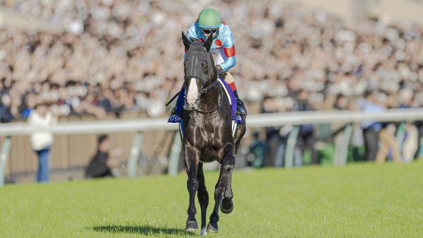 Love of the Horse Yields Racing and Breeding Success in Japan | America ...