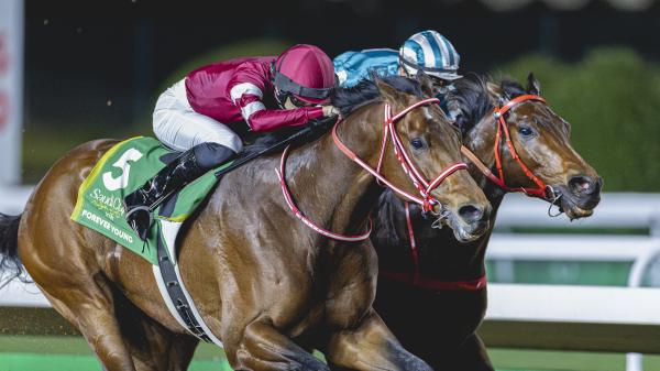 Trainer Yoshito Yahagi Believes Forever Young Can Shape
