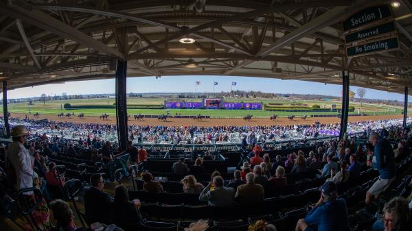 America’s Greatest Racing’s Trifecta Methods for the 2026 Breeders’ Cup Basic