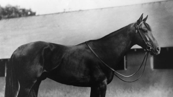 King Ranch: A Classic Horse Racing Legacy | America's Best Racing