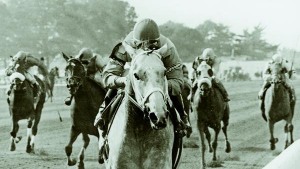 Lady’s Secret: Horse Racing’s Iron Lady