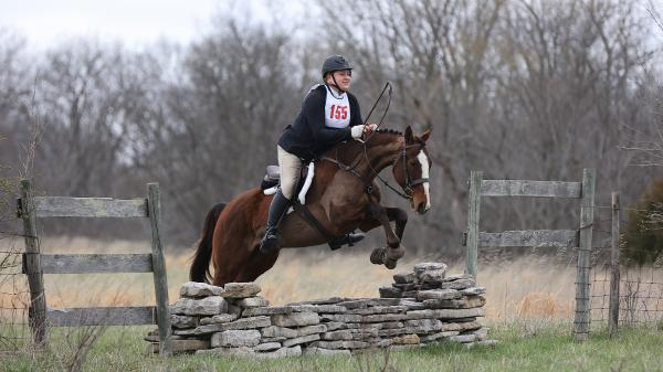 Thoroughbred Aftercare Alliance Success Story: Kreutzer Finds Perfect ...