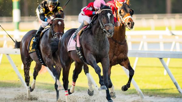 America's Best Thoroughbreds | America's Best Racing
